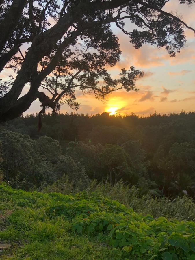 Muriwai Lodge Luaran gambar