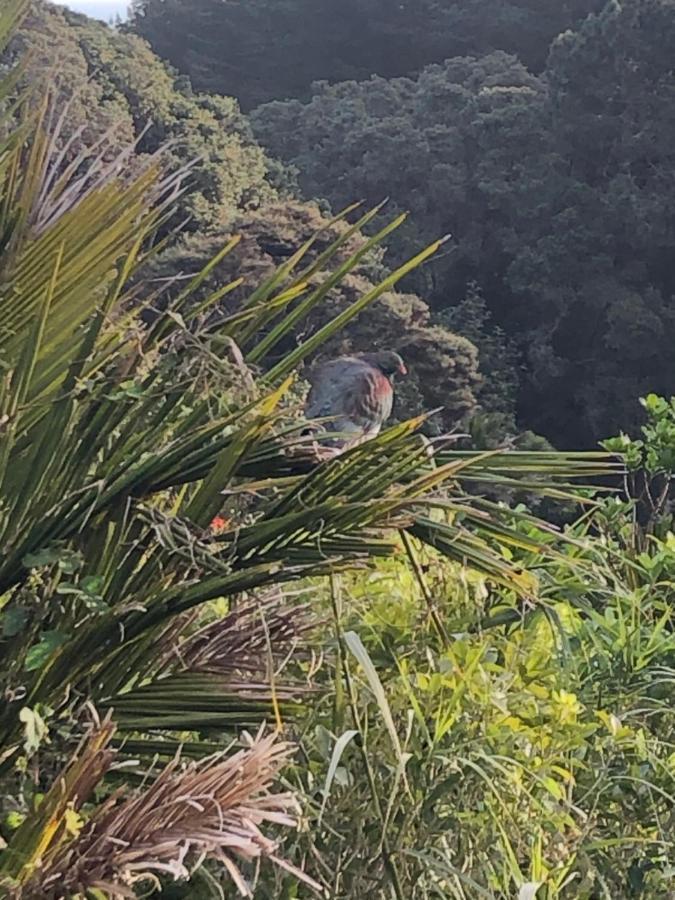 Muriwai Lodge Luaran gambar